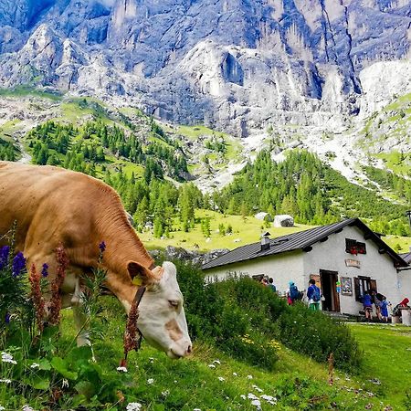 Апартаменты Antico Borgo Palue Соттогуда Экстерьер фото